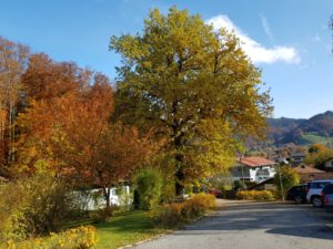 Klinik Sonnenbichl Herbst IX